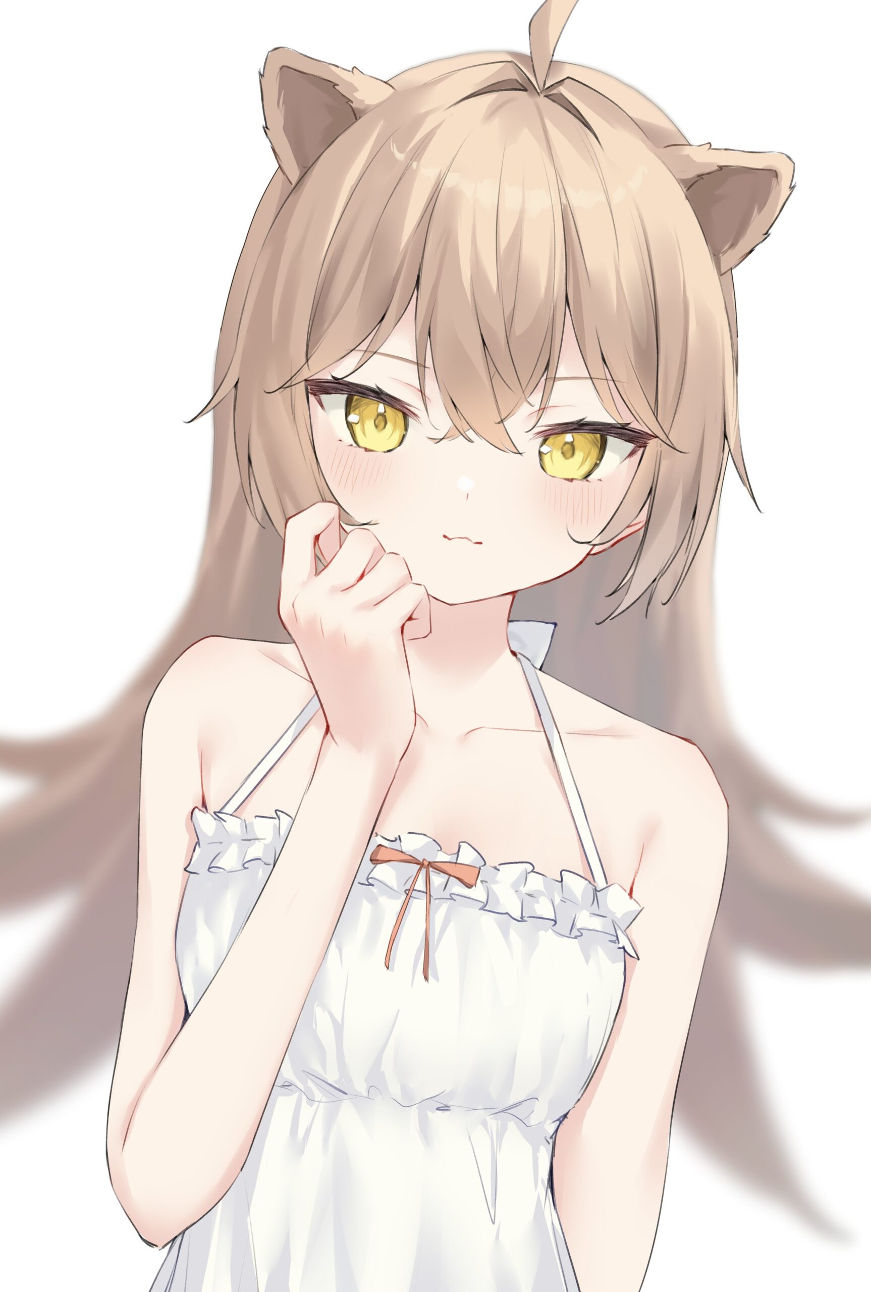 るるどらいおん